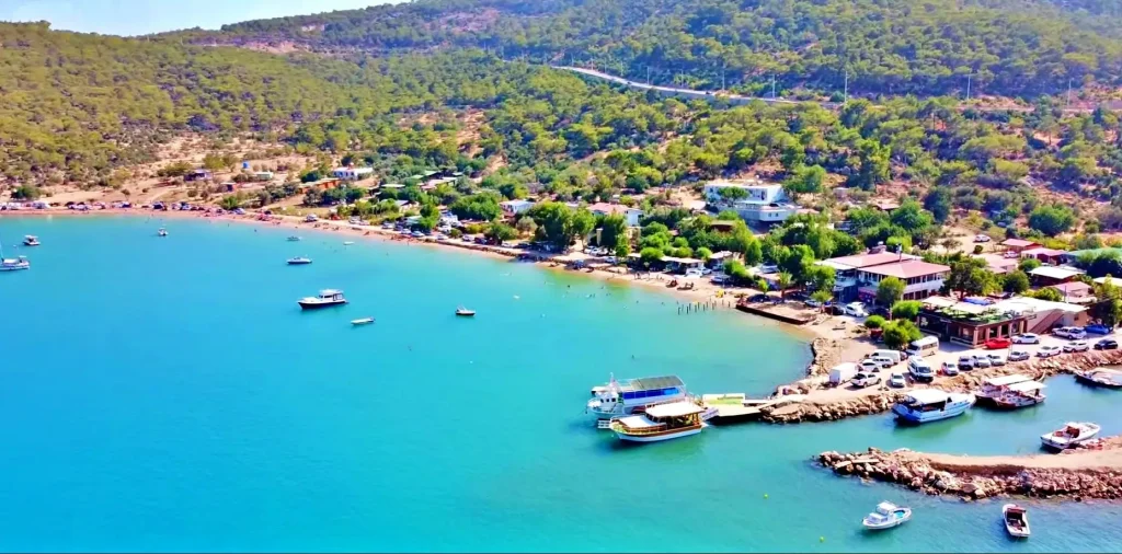 Boğsak koyunu havadan gösteren bir drone görüntüsü