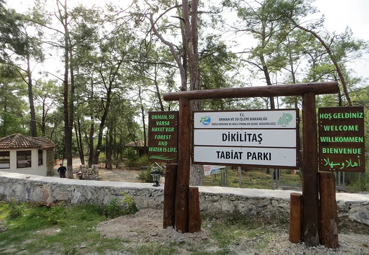 Dikilitaş Kamp Alanı