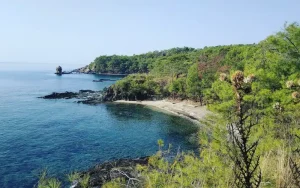 Dikilitaş Kamp Alanı ve Dikilitaş Koyu