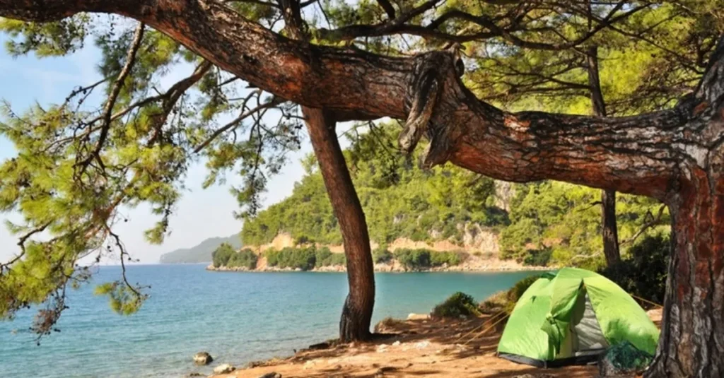 Pullu Kamp Alanı ve Deniz kıyısındaki çadır