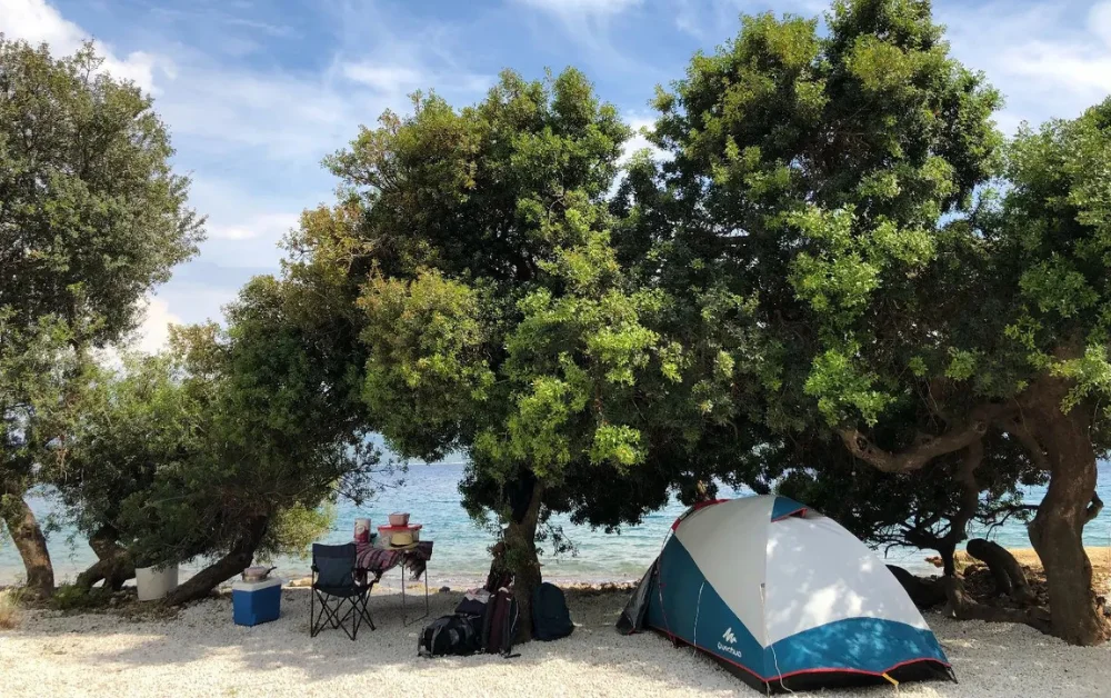Turnalı Boncuk Camping kamp çadırı alanı ve ağaçlar ile deniz manzarası