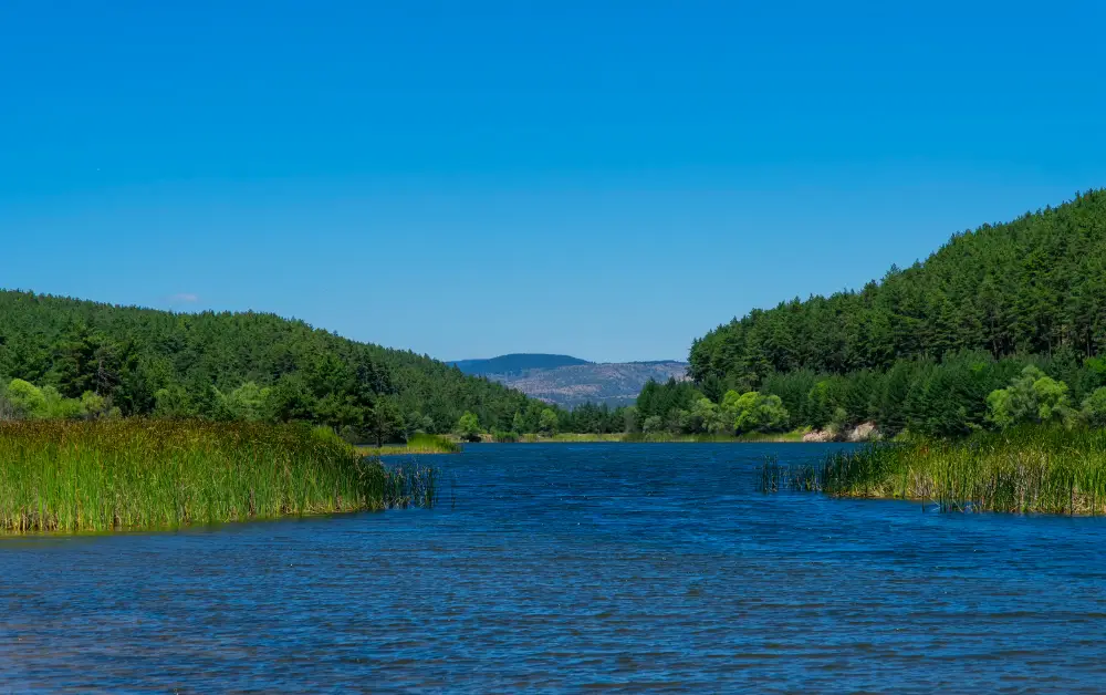 Çamlıdere Gezilecek Yerler 9 Çamkoru Tabiat Parkı Çamlıdere