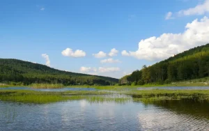 Çamlıdere Gezilecek Yerler , Gezi Rehberi
