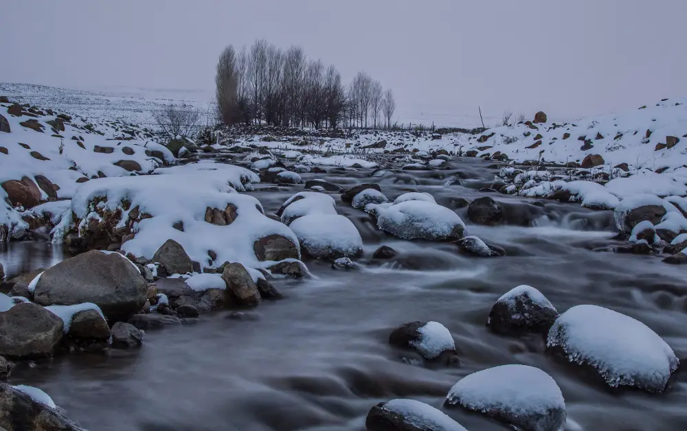 Karacadağ Diyarbakır