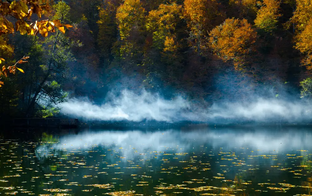 Yedigöller Milli Parkı Kamp Alanı Sonuç