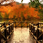 Yedigöller Milli Parkı Kamp Alanı