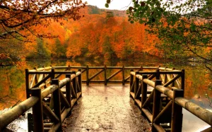 Yedigöller Milli Parkı Kamp Alanı