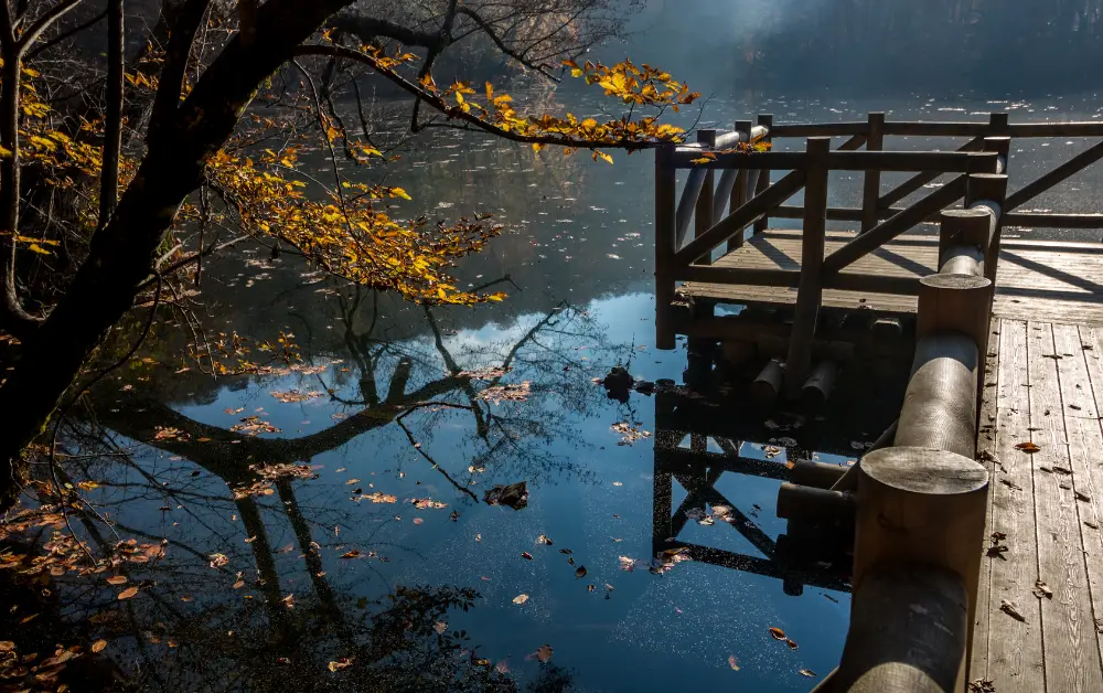 Yedigöller Milli Parkı Kamp Alanı İletişim Bilgileri 
