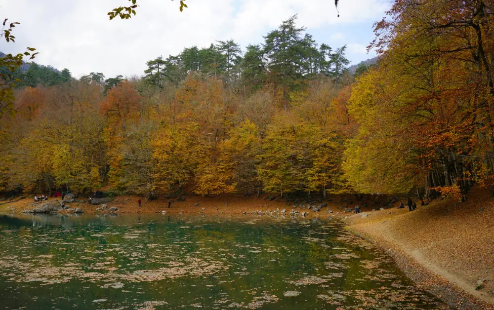 Yedigöller Milli Parkı Kamp Alanı Nerede? Harita konumu