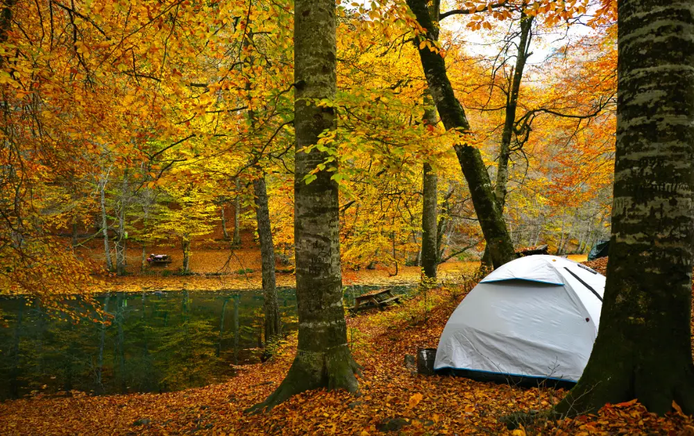 Yedigöller Milli Parkı Kamp Alanı Tesis İmkanları