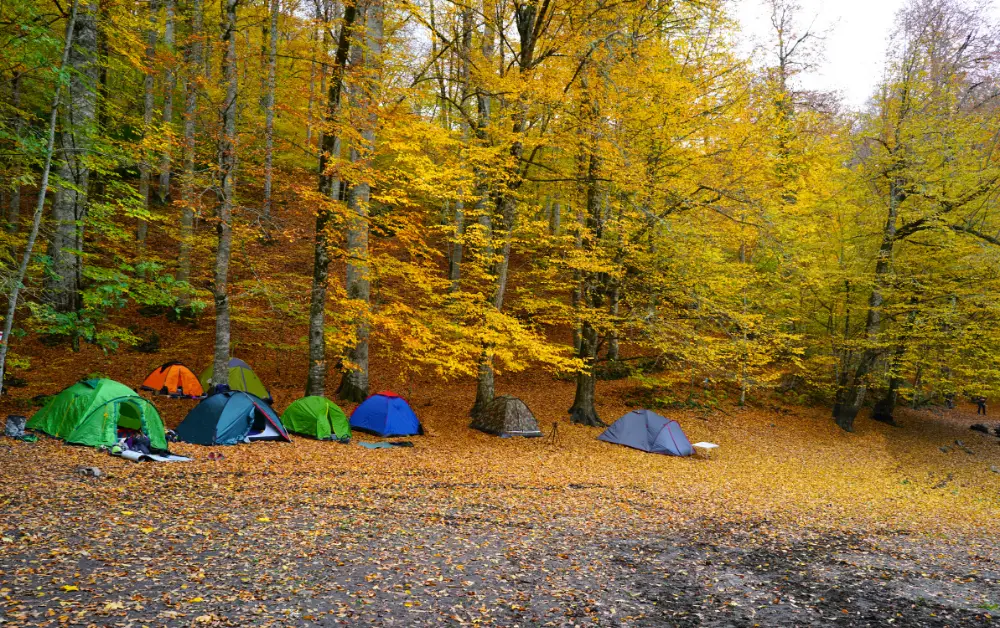 Yedigöller Milli Parkı Kamp Alanı Ziyaretçi Yorumları