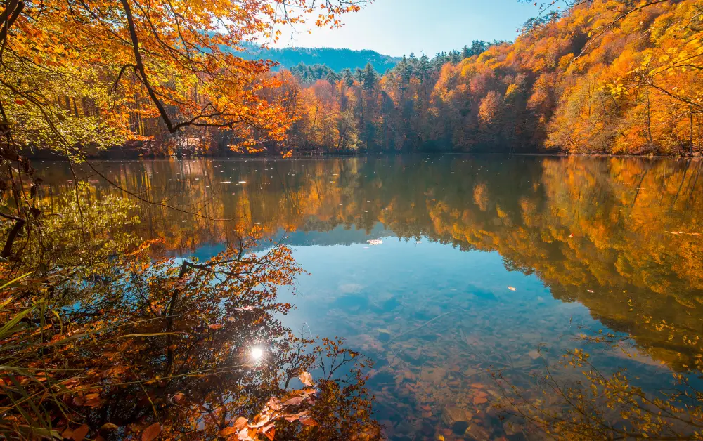Yedigöller Milli Parkı Kamp Alanına Nasıl Gidilir? Yol tarifi