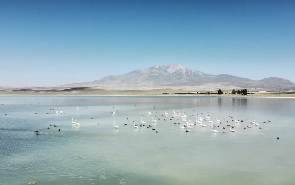 Arin Gölü (Sodalı Göl) Adilcevaz