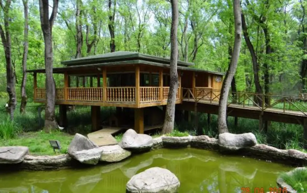 Çakırlar Korusu Samsun