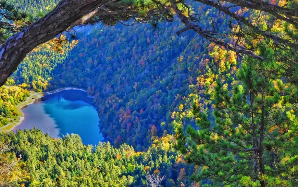 Davlumbaz Yaylası Kuzuluk