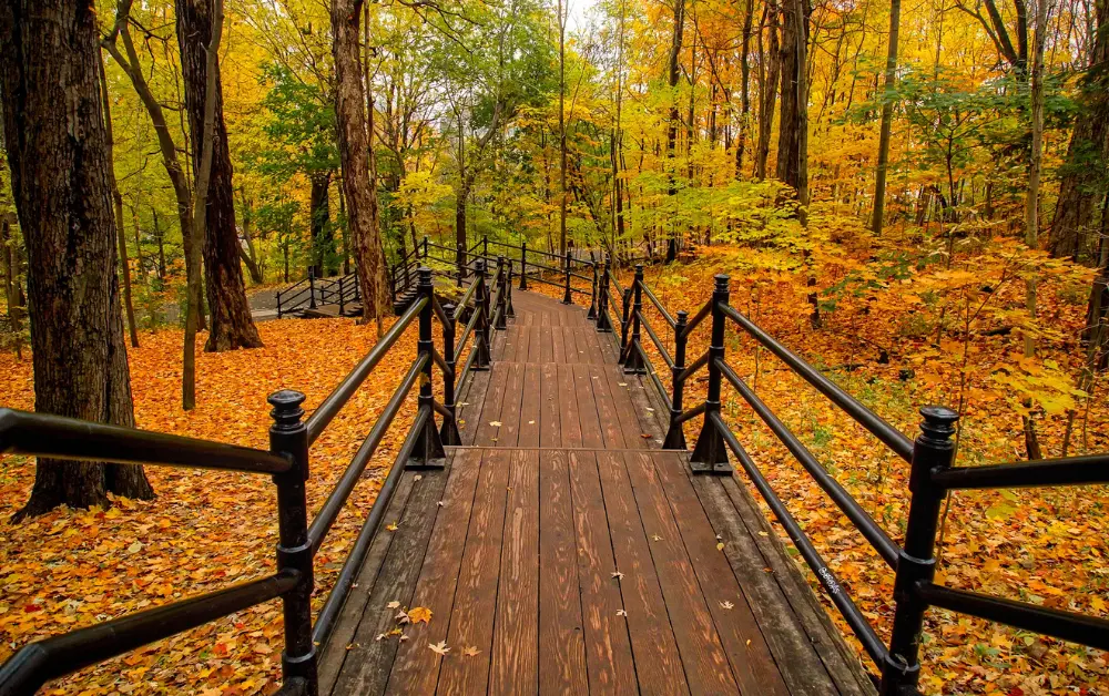 Geyikli Tabiat Parkı