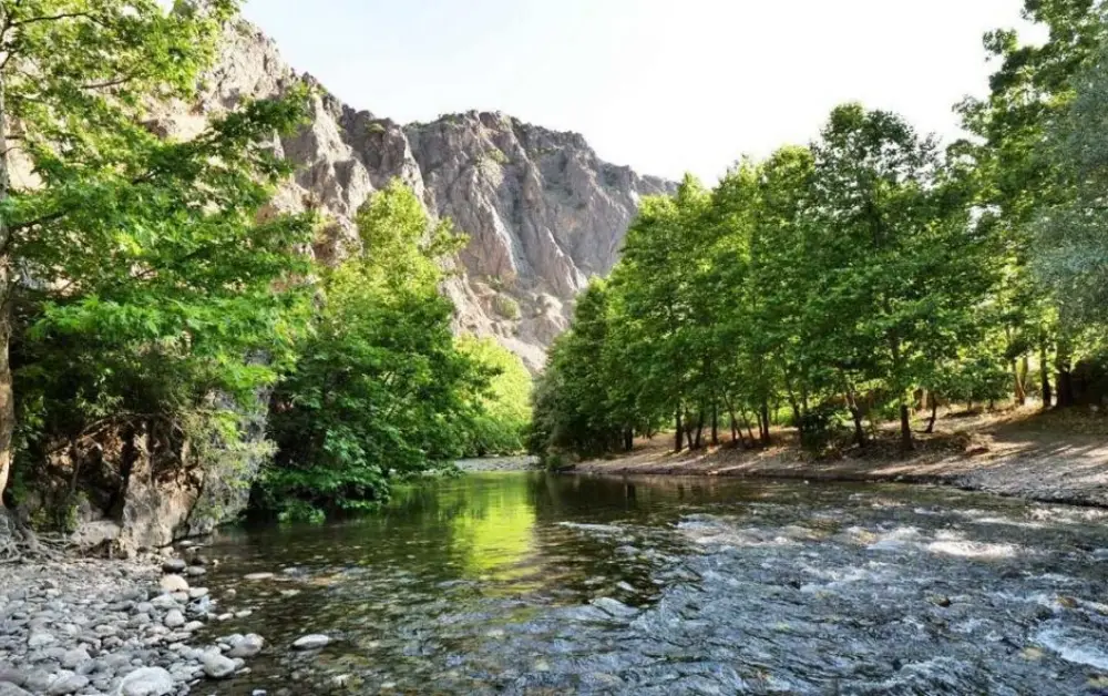 Kozluk Çayı Kamp Alanı