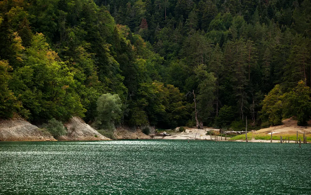 Sülüklü Göl, Kuzuluk