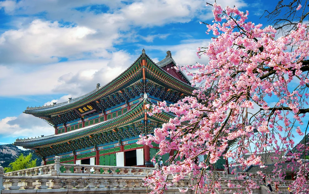 Güney Kore Gezilecek Noktalar - Gezmeklazim.com