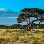 Kenya Gezilecek Yerler - Gezmeklazim.com