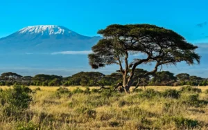 Kenya Gezilecek Yerler - Gezmeklazim.com