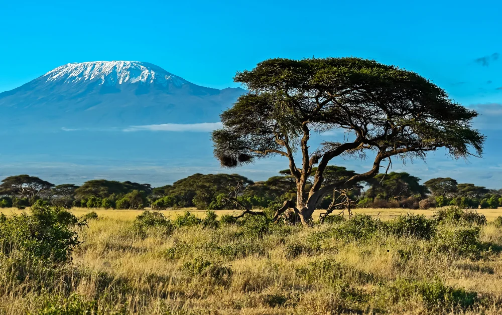 Kenya Gezilecek Yerler - Gezmeklazim.com