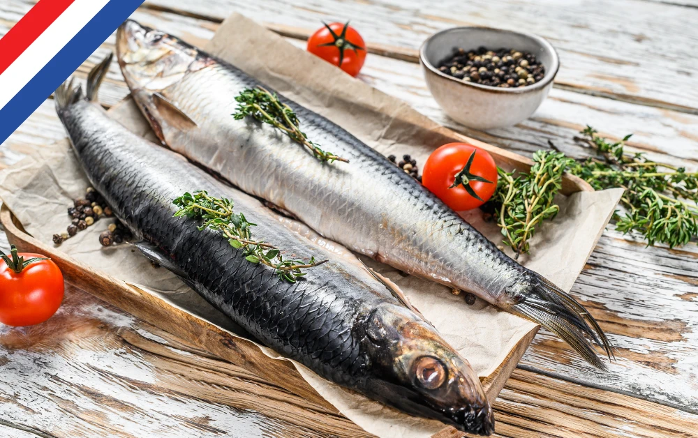 Hollanda Mutfagi Gezmeklazim.com