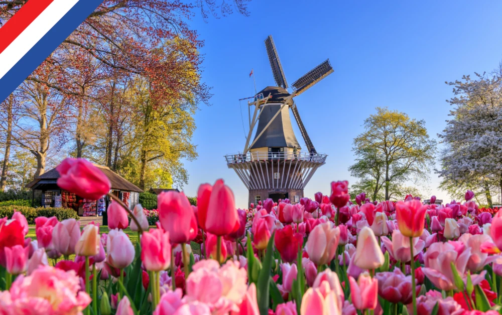 Hollandanin Neyi Unludur Gezmeklazim.com