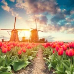 Hollandaya Ne Zaman Gidilir Gezmeklazim.com