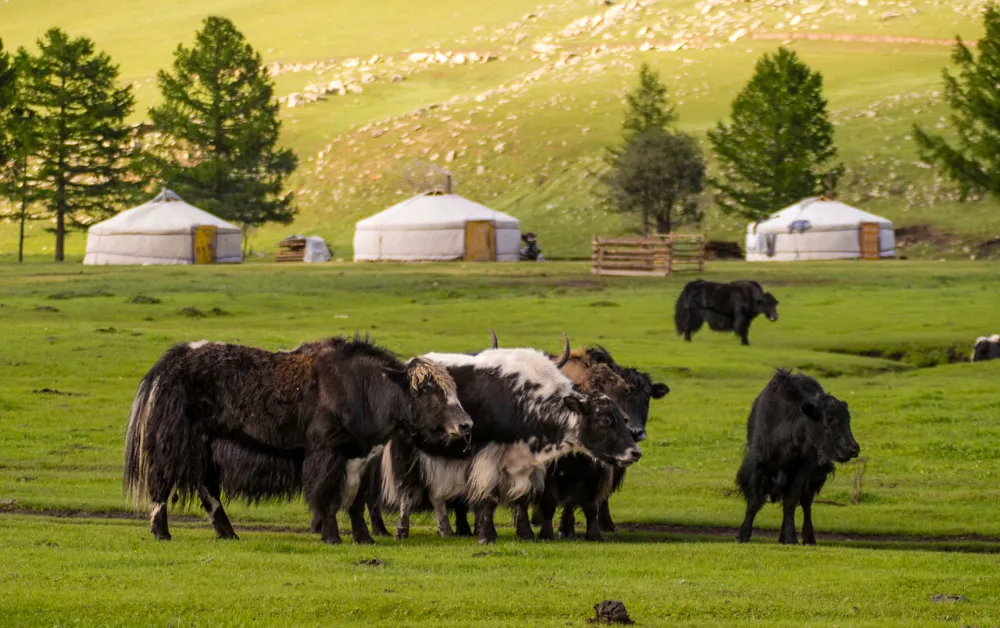 Moğolistan Gezilecek Yerler - Gezmeklazim.com