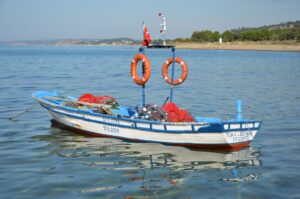Geyikli kıyılarında deniz, plaj ve sakin Ege manzarası