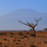 Kenya’da savan manzarası ve safari atmosferi