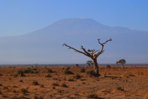 Kenya’da savan manzarası ve safari atmosferi