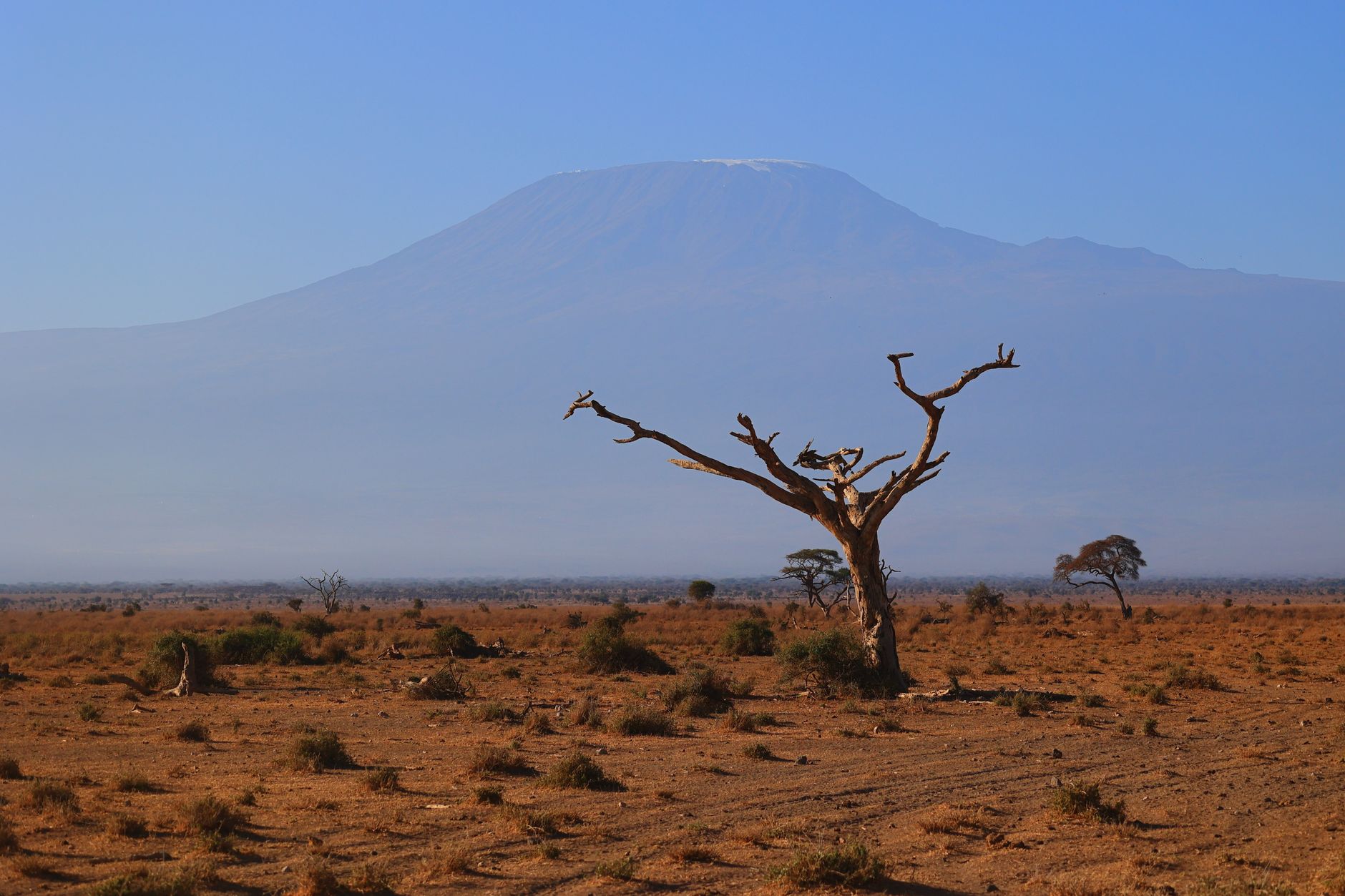 Kenya’da savan manzarası ve safari atmosferi