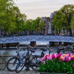 Hollanda gezi rehberi için Amsterdam kanalları ve lale manzarası