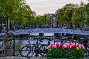 Hollanda gezi rehberi için Amsterdam kanalları ve lale manzarası