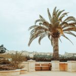 Monaco Yeme İçme Rehberi için restoran terası ve Akdeniz manzarası