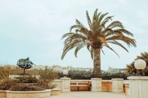 Monaco Yeme İçme Rehberi için restoran terası ve Akdeniz manzarası